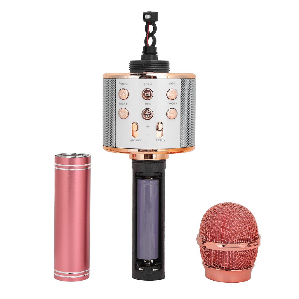 Handheld phone Wireless Speaker Multifunction Key phone for KTV