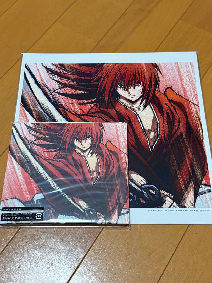 

[USED] Ayase × R-Shitei Hiten mega jacket