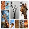 Phone Case For Samsung Galaxy S24 Plus S23 S22 S21 S20 FE Ultra 5G S10 S10E S9 Soft Clear Silicone Cover Giraffe
