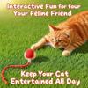 Interactive Cat Toys for Indoor Cats - Motion Activated Cat Balls with 360° - Kitten Toys To Relieve Boredom for Bored Kitten Pet Cats Dogs (Red)