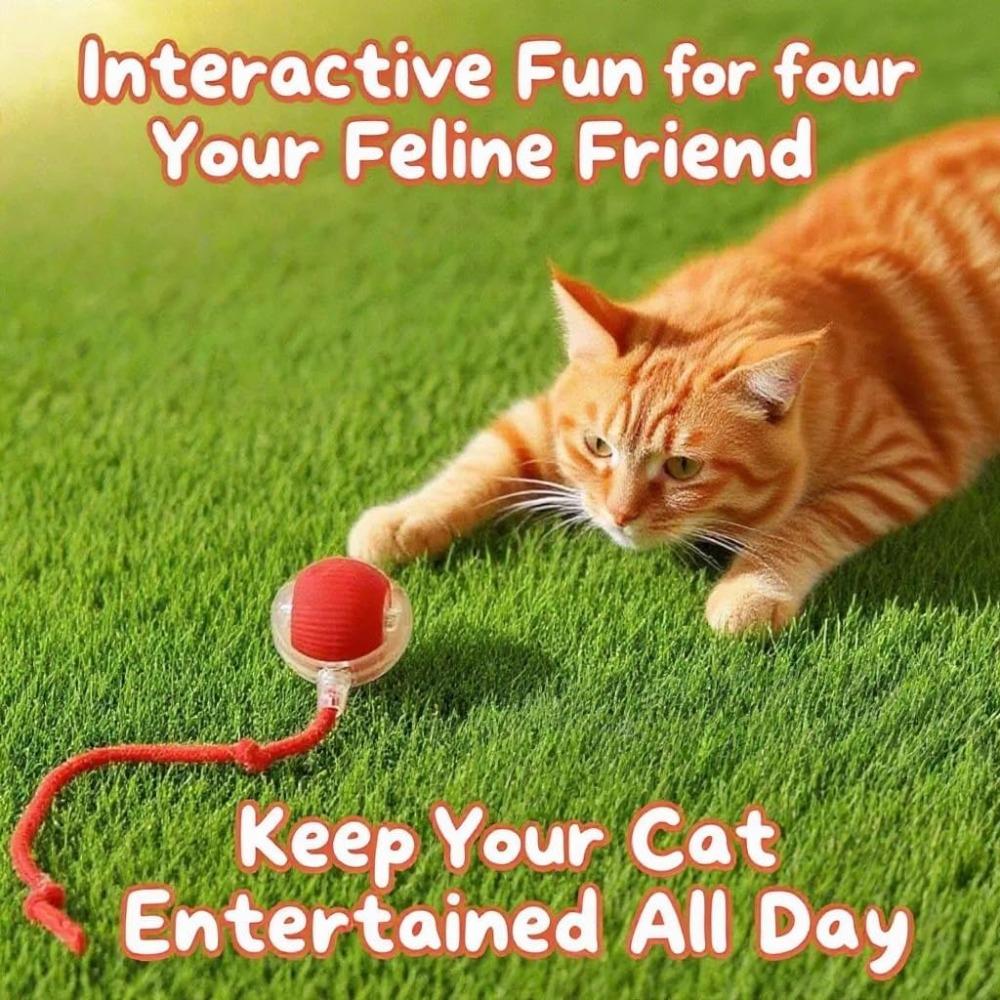 Interactive Cat Toys for Indoor Cats - Motion Activated Cat Balls with 360° - Kitten Toys To Relieve Boredom for Bored Kitten Pet Cats Dogs (Red)