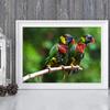 Colorful Parrot Poster Beautiful Bird Wall Art Animals Pictures Canvas Print Living Room Home Aesthetics Decor Painting Cuadros