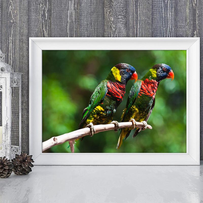 Colorful Parrot Poster Beautiful Bird Wall Art Animals Pictures Canvas Print Living Room Home Aesthetics Decor Painting Cuadros