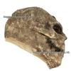 Halloween Skull Mask: Horror Headgear for Dance Party & Cosplay