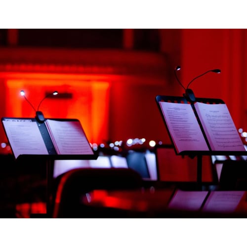 DkOvn Music Stand Light, 1 Pack, USB Rechargeable Music Stand Light, LED Book Lamp for Reading and Playing Musical Instruments (1 Light)