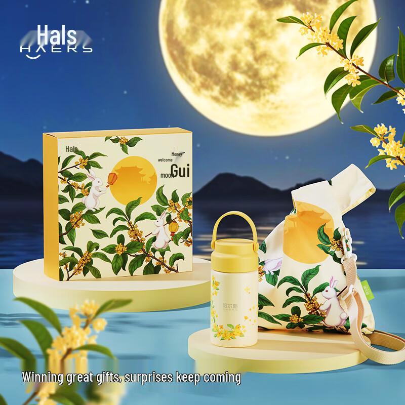 

HAERS 316 Stainless Steel Insulated Mug Gift Set