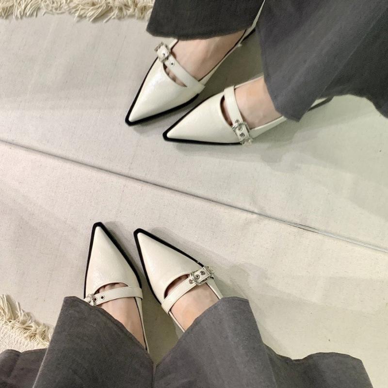 2025 Spring and Autumn New Fashion Versatile Thick Heel Pointed High Heel Single Shoes Women's Korean Version French Small Leather Shoes Retro