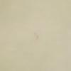 Acne Studios Stretch pants W29 Ivory Women Used