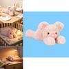 Jc Smudge Pig Plush Toy With Pp Cotton Filling For Kids And Gift Giving