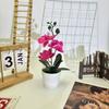 Butterfly Orchid Realistic Faux  Green Plants Potted For Indoor Decorations