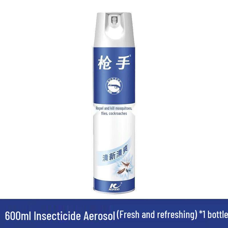 Raid Insecticide Aerosol