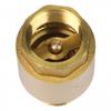 Backflow Prevention Brass Check Valve Pipeline Connection