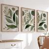 Conjunto de Pôsteres Botânicos Verdes Folhas Abstratas Sálvia Oliva Tons Neutros Impressões em Tela para Decoração de Casa Quarto Sala de Estar