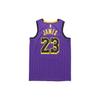 Nike Nba Los Angeles Lakers LeBron James City Fan Edition Jersey AJ4618-510