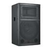 Runpu 15-inch Full-Range Horn Conference Speaker (CN version)