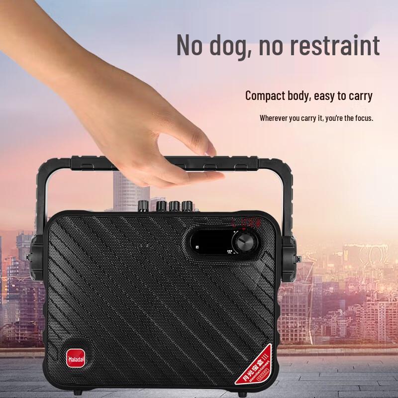 Wanlida M+9111 Portable Bluetooth Karaoke Speaker