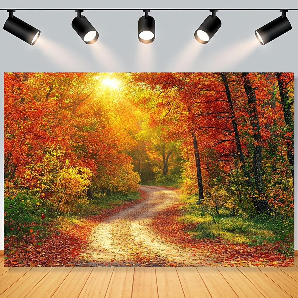 One autumn photography background showcasing the beauty of a deciduous forest path party decoration 100x150cm