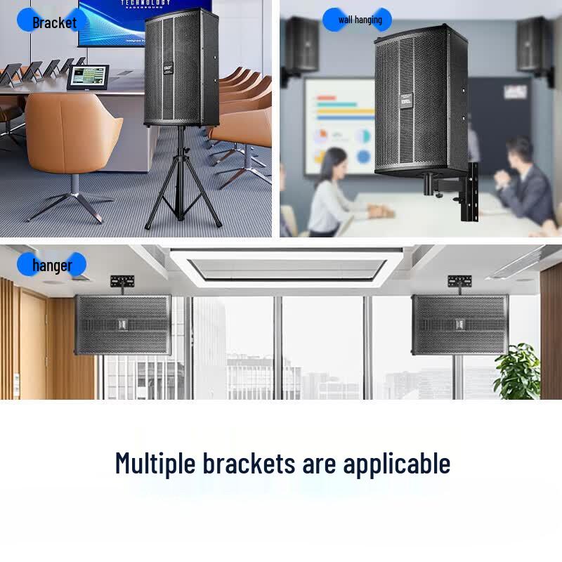 SAST Conference & Home KTV Wall-Mounted Speaker System with Dual Microphones (CN version)