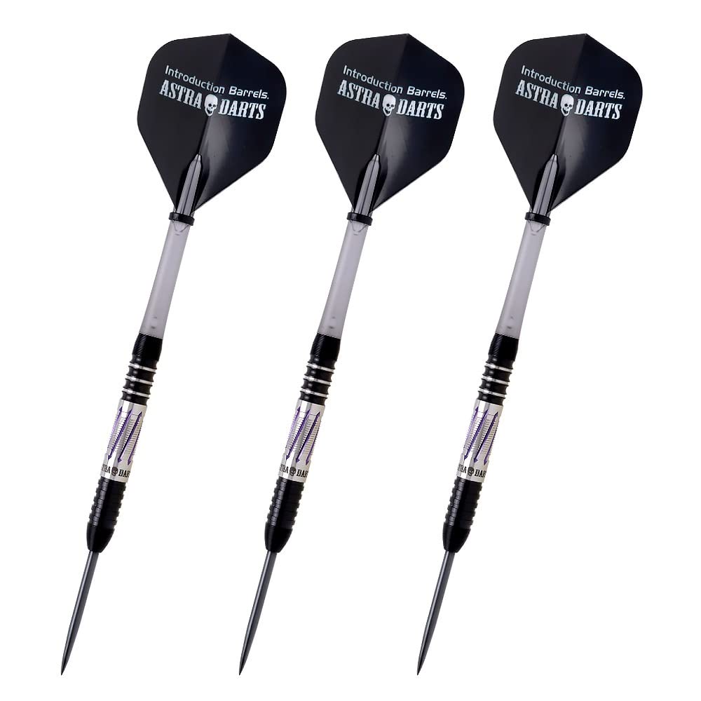 Dynasty ASTRA DARTS Dragoon STEEL Ryuki Morikubo Player Model Dart Barrel Dart Set DRAGOON3.5 3.5