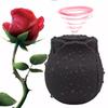 G-Spot Vaginal Vibrator Vlitoral Nipple Sucking Ctimulator 10 Sucking Modes Vibrating Egg Adult Sex Toys for Women & Couples