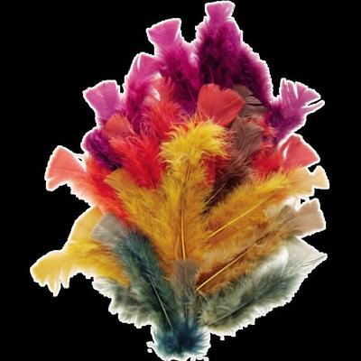 Feather 10 Cm ( Bag of 100 ) Autumn Colors
