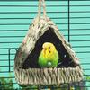 Bird Nest Hangable House Bird Cage Shelter Bed Small Bird Courtyards Bird Playtent