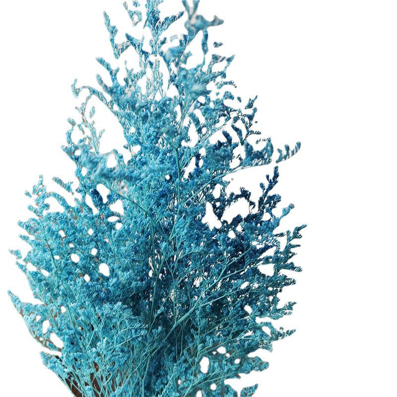 Everlasting White Dried Baby's Breath Flowers for Home Decor and Photography