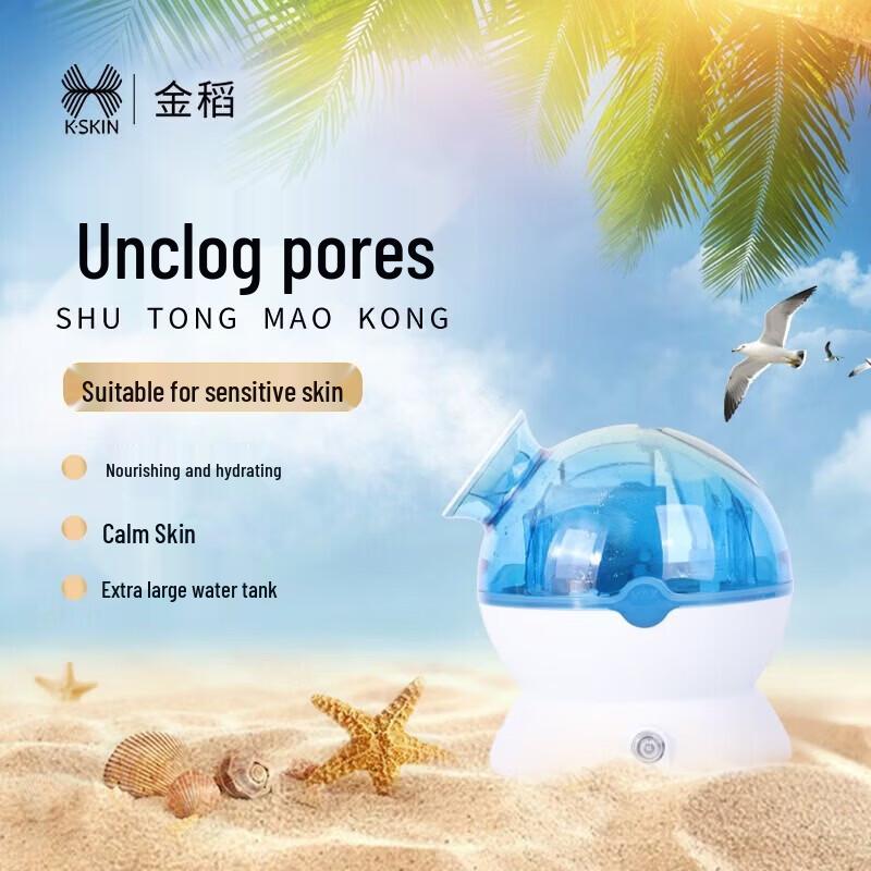 Jindao Nano Cold Mist Facial Sprayer CN plug (adapter included)