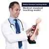 DIY Human Body Anatomy Model Kit - Educational Toy for Kids To Assemble Organs, Skeleton & Muscles