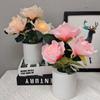 Exquisite LED Champagne Rose Flower Lantern - Night Light Gift