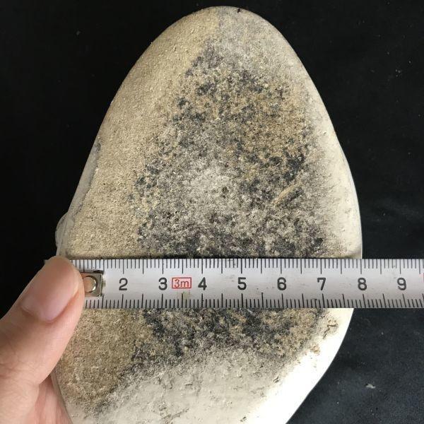 Salvatore Ferragamo Mules Sandalen mit offener Zehenpartie Größe 5D 22.0-22.5 Weiße Schuhe Mules(GEBRAUCHT)