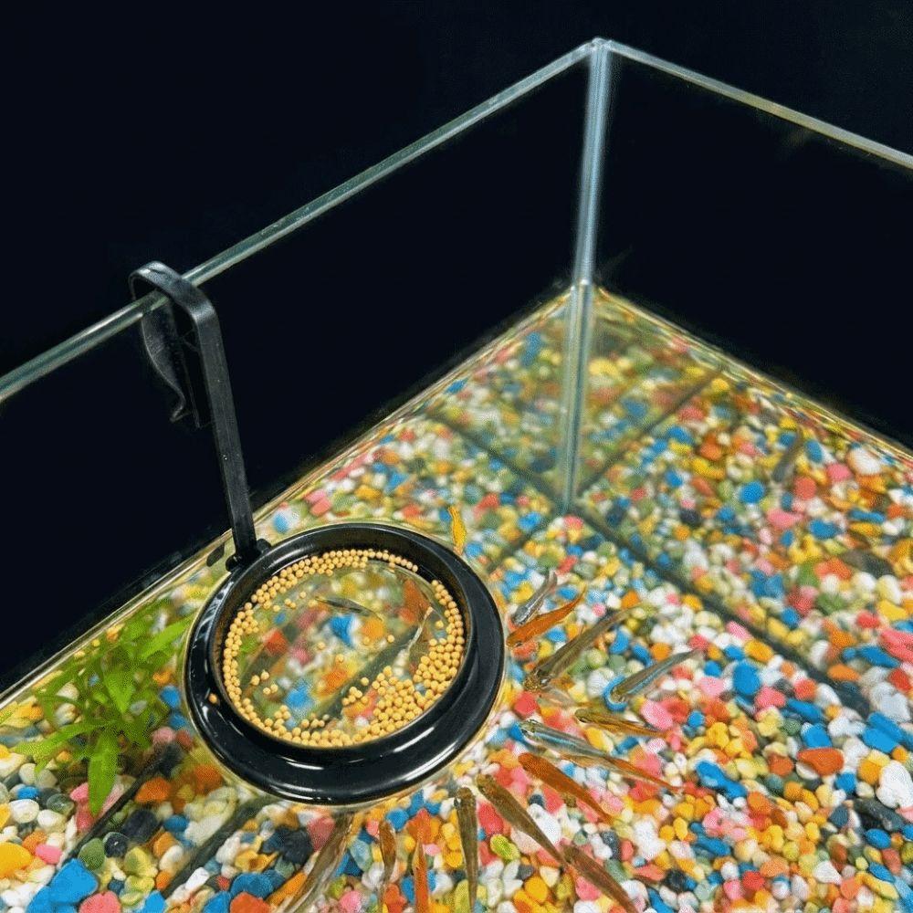 Anti Drifting Fish Feeding Ring Hanging Floating Food Tray Fish Tank Station Aquarium Decoration