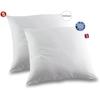 ABEIL Set of 2 Soft Pillows ICEBERG 60x60cm