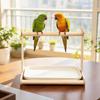 Non-slip Parrot Potty Training Platform Anti-Splash Design Bird Stand Creative Parrot Stand