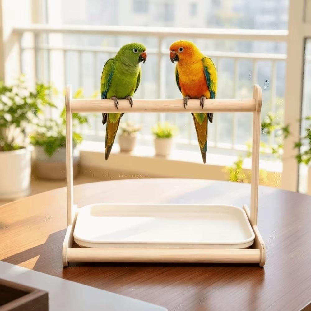 Non-slip Parrot Potty Training Platform Anti-Splash Design Bird Stand Creative Parrot Stand