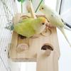 Hanging Parrot Feeding Tray Training Function Pet Food Seek Toy  for Small Pet