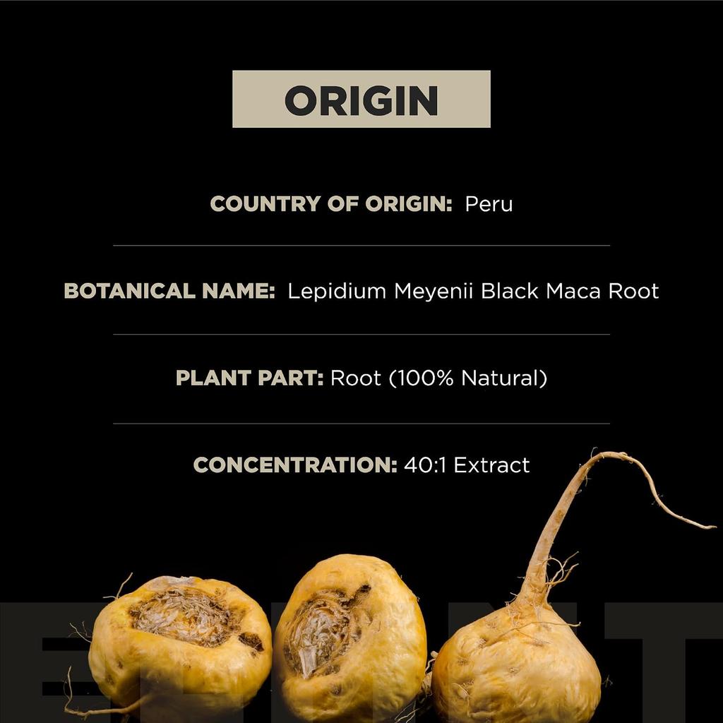 40x Force Capsules Biologiques de Racine de Maca Noire avec Ashwagandha - 40:1 Complément Extrait Puissant pour Hommes