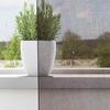 VidaXL Rideaux en voile avec passants 2 pcs marron, rideau en filet, rideau transparent, voile de fenêtre, traitement de 4102265
