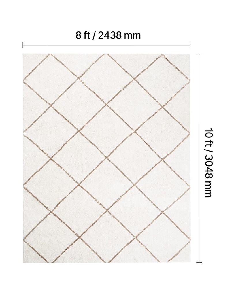 Indoor Plush Area Rugs, 2.44 X 3.05m Plush Carpet, Area Rugs Furry with Long Plushs Pile, Thick & Durable High-Pile Rug for High-Traffic Areas,