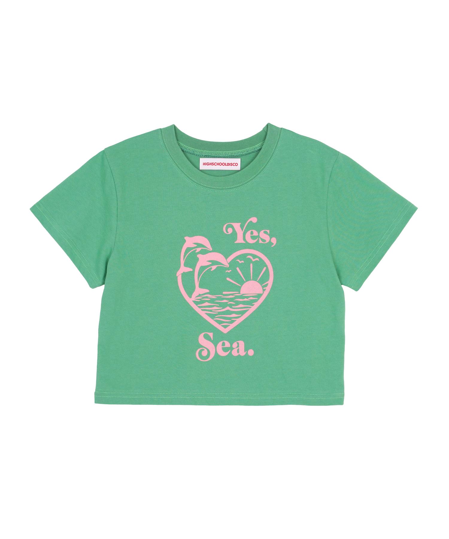 High School Disco Dolphin Graphic Crop Top Green Bottom/Free