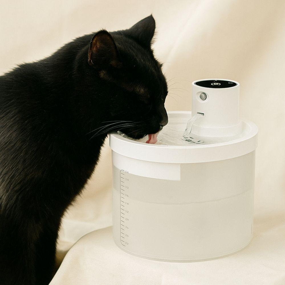 2.2L Capacity Pet Water Fountain Motion Sensor Ultra Quiet Cat Water Dispenser Filtering USB Rechargeable Smart Cat Fountain