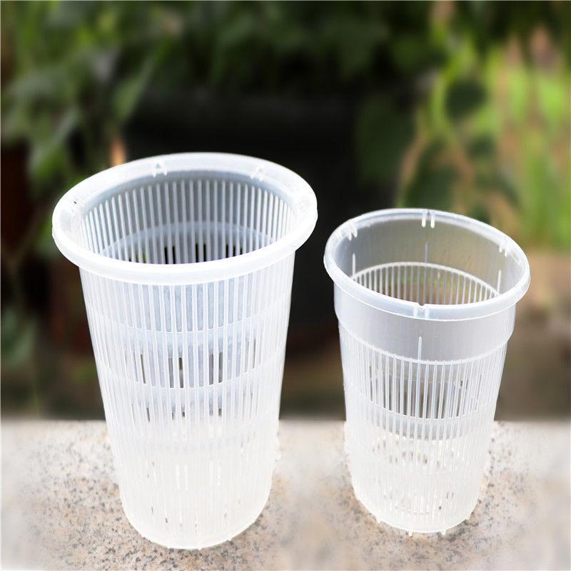 Thickened Square Plastic Planter for Phalaenopsis Root Control and Hydroponic Cultivation
