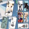 Telefon kapları – Smartphone Bumper Kılıflar