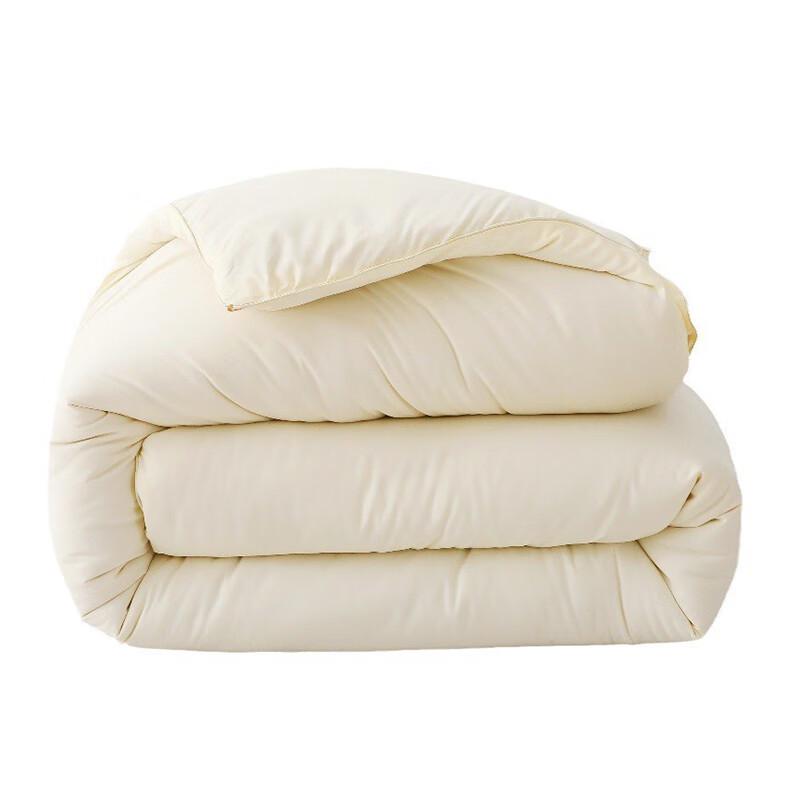 

LISM Thickened Winter Quilt