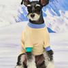 MUNIKUND Wuff Pullover - Yellow