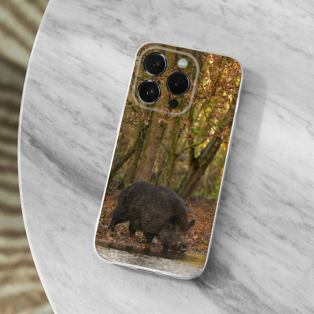 Cute Wild Boar Animal Phone Case For iPhone,14,13,12,15,Pro,Max,Plus,11,17,16,X,XS,XR,SE,Mini Transparent Soft Cover