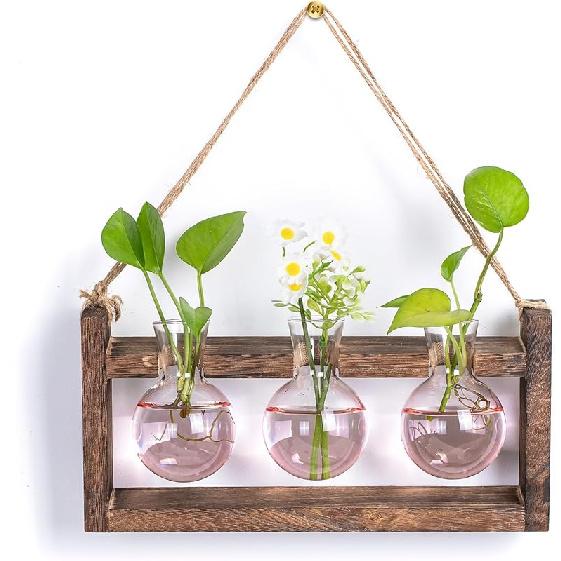 Plant Propagation Station with Wood Stand - Wall Glass Terrarium for Cuttings Air Plants Small Flower Pothos - Gift for Women Plant Lovers (Gradient