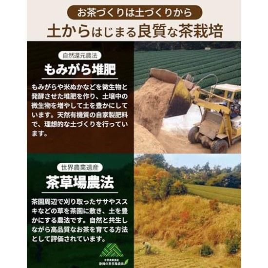 Arahataen Shizuoka Tè Fukamushi Daichi no Uta Gabu Nomeru Set 3 bustine da 100g Foglie Verdi Giapponese Seconda Raccolta Makinohara