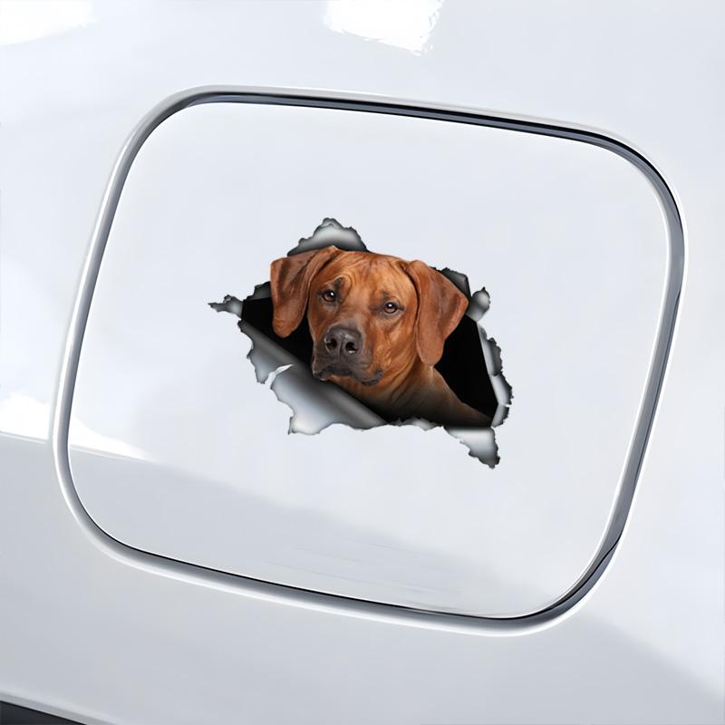Rhodesian Ridgeback 3D Bryt Muren Bildekal, Vattentäta Vinylmaterial Tillbehör, Intressant För Bilar, Lastbilar, Motorcyklar, Väggar