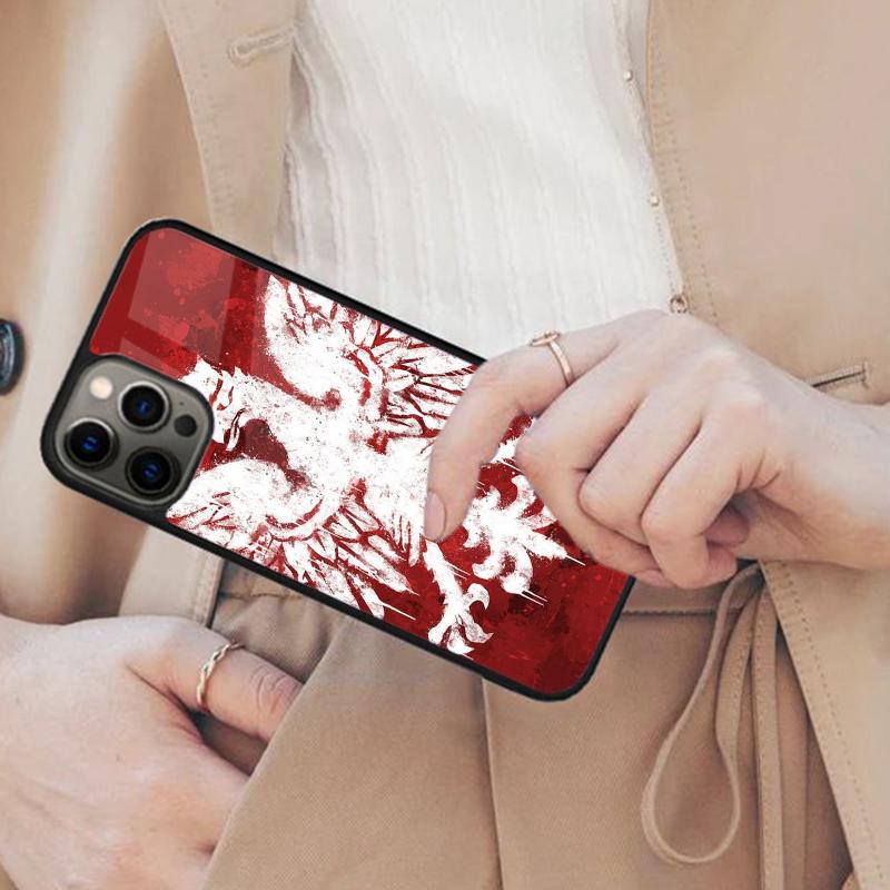 Poland Polish Flag Magnetic Phone Case For APPLE iPhone 17 Air 16 14 13 12 Pro Max 15 Plus Wireless Charge With MagSafe Cover